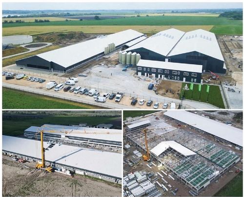 Aktueller Firmenfall über Die Schweinefarmbäude des Projekts haben eine gesamte nutzbare Bodenfläche von über 27 000 m2, mit