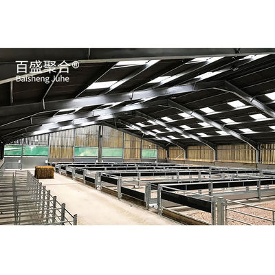 ISO9001 2008/CE/BV zertifizierte Stahlkonstruktion für gefertigte Geflügel- und Ziegenfarmen
