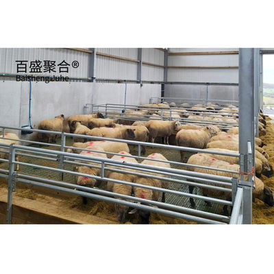 Prefabriziertes Viehhaus für Ziegen/Schafe/Kühe/Rinder und Schweinezucht