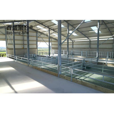 Prefabriziertes Viehhaus für Ziegen/Schafe/Kühe/Rinder und Schweinezucht