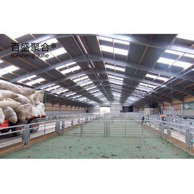 Prefabriziertes Viehhaus für Ziegen/Schafe/Kühe/Rinder und Schweinezucht