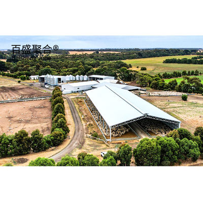 Prefabriziertes Viehhaus für Ziegen/Schafe/Kühe/Rinder und Schweinezucht
