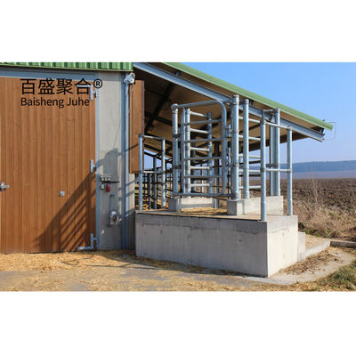 Leichte Stahlkonstruktion Kuhfarmbäude Vorgefertigter Kuhstall mit ISO9001 2008/CE/BV