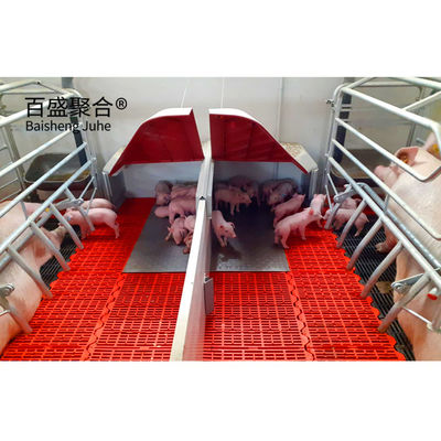 Schweinezucht Farrowing Pins mit C.Z-förmigen Stahlkanälen und heißdippverzinkter Beschichtung