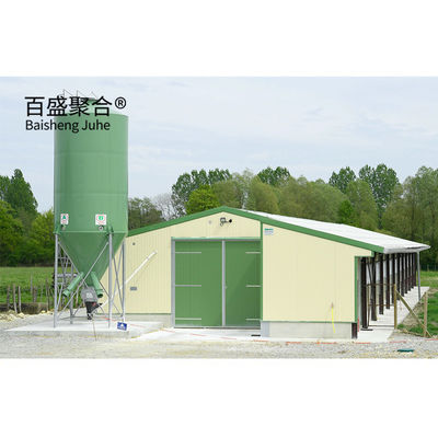 Hot Dip Galvanized Modern Stahlkonstruktion Schuppen Hühner Geflügelfarmen Eier Hühner Häuser