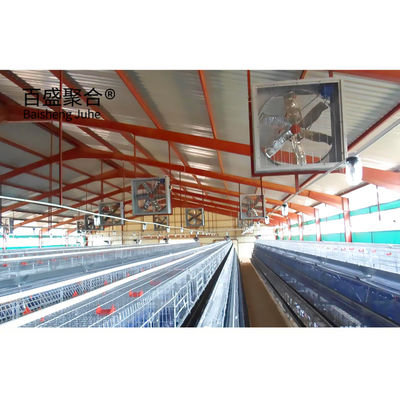 Hot Dip Galvanized Modern Stahlkonstruktion Schuppen Hühner Geflügelfarmen Eier Hühner Häuser