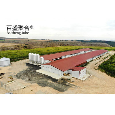 Hot Dip Galvanized Modern Stahlkonstruktion Schuppen Hühner Geflügelfarmen Eier Hühner Häuser
