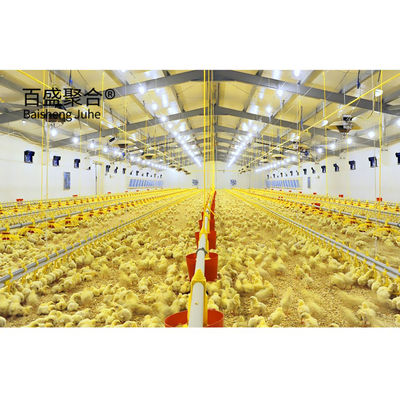 Hot Dip Galvanized Stahlkonstruktion Hühner Geflügelfarm Schuppen für schwere Ladekapazität