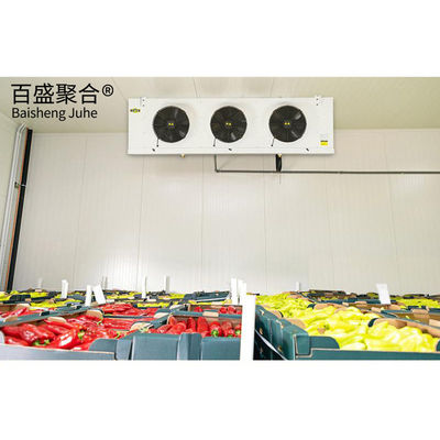Kühlraum mit Aluminiumlegiertem Fenster für die Lagerung von korrosiven Durian-Frischfrüchten in Kapazität