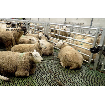 Vorgefertigte Stahlkonstruktion Schafstall-Farmschuppen mit ASTM-Standarddesign