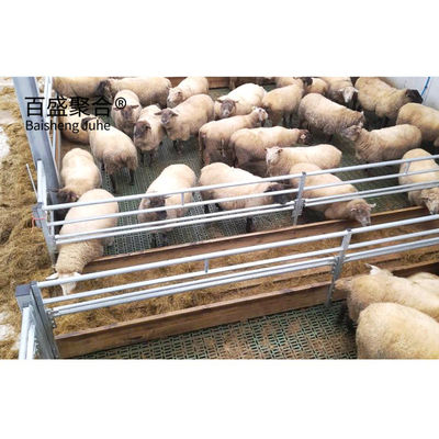 Schweißvorbereitung H Balken Stahlkonstruktionsgebäude für Ziegen Schafe Scheunen Kuh/Rinderfarm
