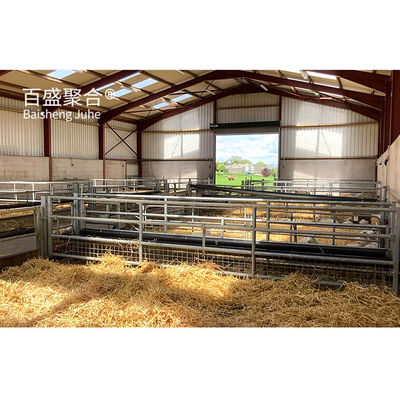 Prefab Metallbau Schaf- Ziegenfarm Schuppenhaus mit PKPM Zeichnung Design