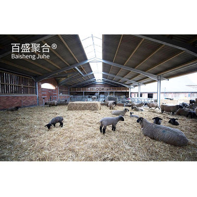 Roller Door Prefabricated Livestock Shelter for Goat Sheep Shed Cow House Cattle Shed Die Wohnung ist in der Nähe von der Wohnung.