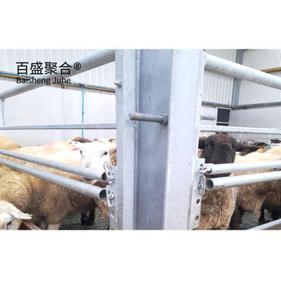 Roller Door Prefabricated Livestock Shelter for Goat Sheep Shed Cow House Cattle Shed Die Wohnung ist in der Nähe von der Wohnung.