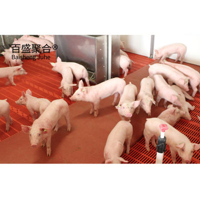 Vorgefertigte Stahlkonstruktion für Schweine und Kuhställe