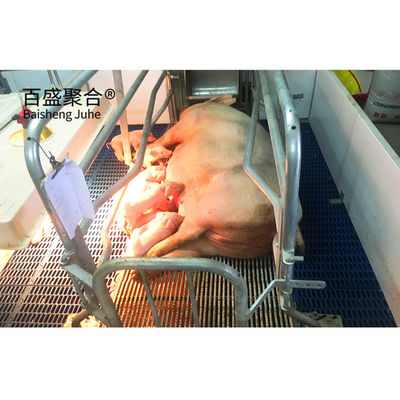 ASTM Standard kundenspezifisches kommerzielles Schweinehaus mit Rolltür und vorgefertigter Stahlstruktur
