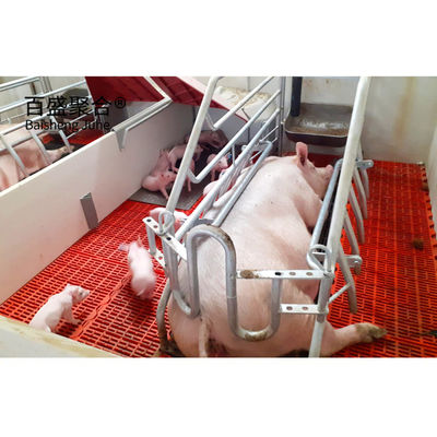 ASTM Standard kundenspezifisches kommerzielles Schweinehaus mit Rolltür und vorgefertigter Stahlstruktur