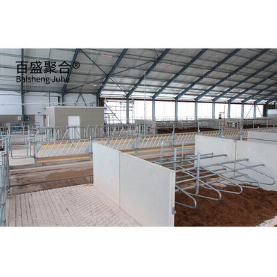 Schwere vorgefertigte Stahlkonstruktion Kuhstall für MTS Zeichnung Design Milchviehfarm