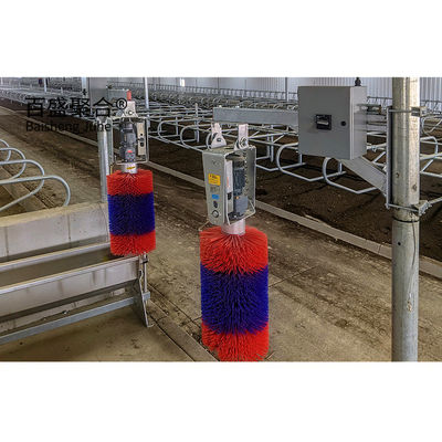 Schwere vorgefertigte Stahlkonstruktion Kuhstall für MTS Zeichnung Design Milchviehfarm