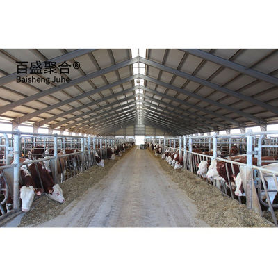 Schwere vorgefertigte Stahlkonstruktion Kuhstall für MTS Zeichnung Design Milchviehfarm