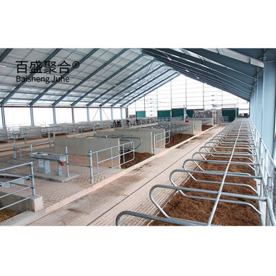 Eigene Farben Metallrahmen Stahlkonstruktion Kuh Rinderfarm Haus Fertigbau Kuhschuppen Standard ASTM