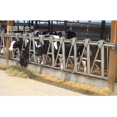 Eigene Farben Metallrahmen Stahlkonstruktion Kuh Rinderfarm Haus Fertigbau Kuhschuppen Standard ASTM