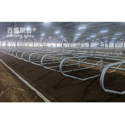 Einfache Installation Vorgefertigter Kuhschuppen mit benutzerdefinierten Farben und C.Z-Form Stahlkanal