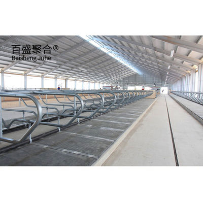 Rinderstall mit vorgefertigter Struktur aus leichtem Stahl und ISO9001 2008/CE/BV-Zertifiziert