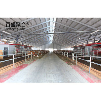 Rinderstall mit vorgefertigter Struktur aus leichtem Stahl und ISO9001 2008/CE/BV-Zertifiziert