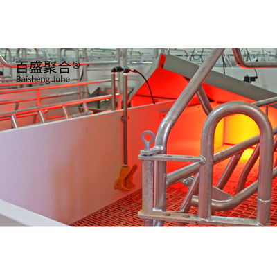Vorgefertigte Metall-Stahlkonstruktion Schweinefarm-Schuppen mit Schiebetür-Rollentür