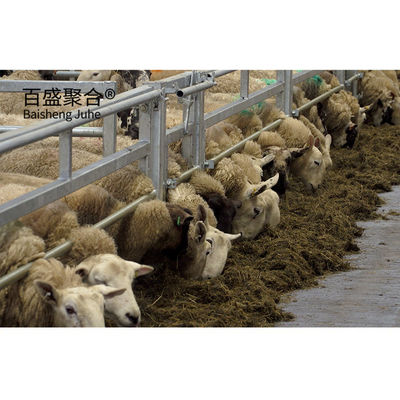 ASTM Standard Leichtstahlkonstruktion Ziegenhaus Entworfenes Fertighaus Schafe Ziegen Stahlschuppenhaus