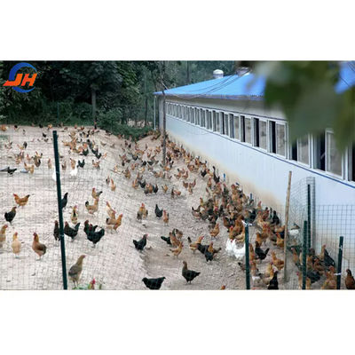 ISO9001 2008/CE/BV Zertifizierte moderne Geflügelfarm Leichtstahlkonstruktion Hühnerhaus