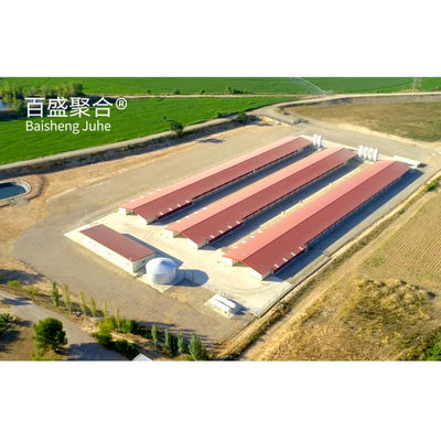Geflügelfarm-Käfigsystem für Broiler mit MTS-Zeichnung und Stahlqualität