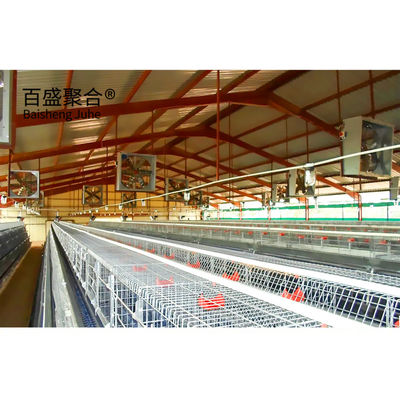 Geflügelfarm-Käfigsystem für Broiler mit MTS-Zeichnung und Stahlqualität