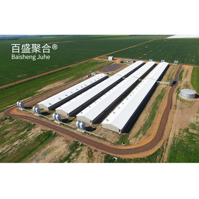 Hot Dip Galvanized/Paint Spraying Steel Prefab Piggery House Design für Geflügelfarmen