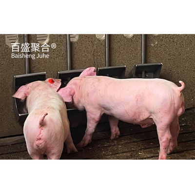 Hot Dip Galvanized/Paint Spraying Steel Prefab Piggery House Design für Geflügelfarmen