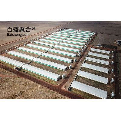 Hot Dip Galvanized/Paint Spraying Steel Prefab Piggery House Design für Geflügelfarmen