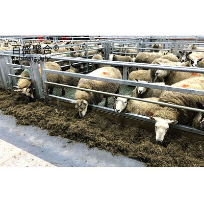 Stahlbau Großhandel Leichtbaubau Bauwerk Stahlkonstruktion Schlachthof für Schweine Rinder Schafe