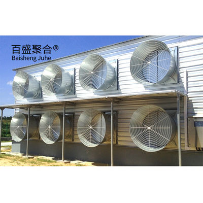 Hot Dip Galvanisierte C.Z-Form Stahlkanal Vorgefertigtes Hühnerhaus für Geflügelfarmen