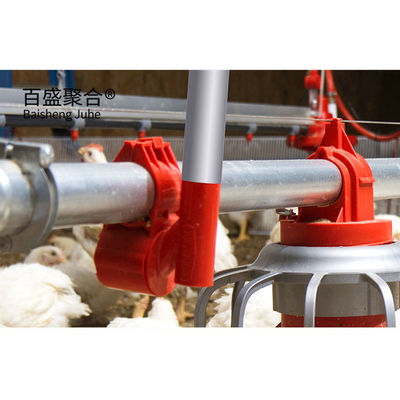 Hot Dip Galvanisierte C.Z-Form Stahlkanal Vorgefertigtes Hühnerhaus für Geflügelfarmen