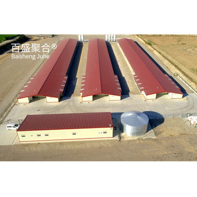 Hot Dip Galvanisierte C.Z-Form Stahlkanal Vorgefertigtes Hühnerhaus für Geflügelfarmen