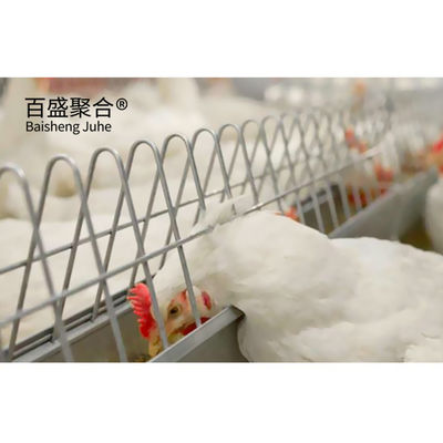 Custom Colors Design Handelsbroiler Hühnerkäfige mit automatischer Geflügelfütterung