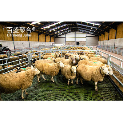 Vorgefertigte Tierhalle für Schafe/Rinder/Schweine/Kühe/Züchterhäuser