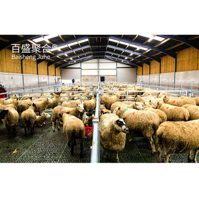 Vorgefertigte Tierhalle für Schafe/Rinder/Schweine/Kühe/Züchterhäuser