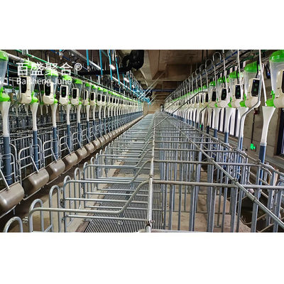 Hot Dip Galvanized/Paint Spraying Stahlkonstruktionen für Schweinefarm Lagerhaus Rahmenhaus