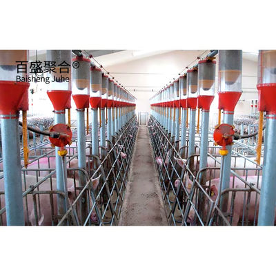 Hot Dip Galvanized/Paint Spraying Stahlkonstruktionen für Schweinefarm Lagerhaus Rahmenhaus