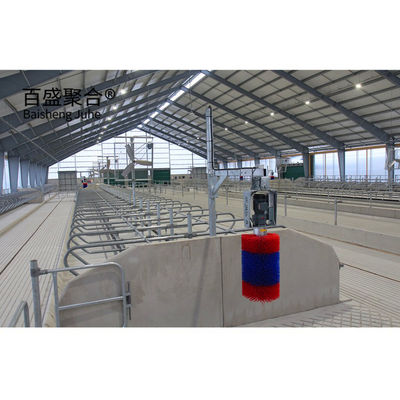 Hot Dip Galvanized Stahlkonstruktion Viehhaus für Fertigtiere Schuppen Metallrahmen