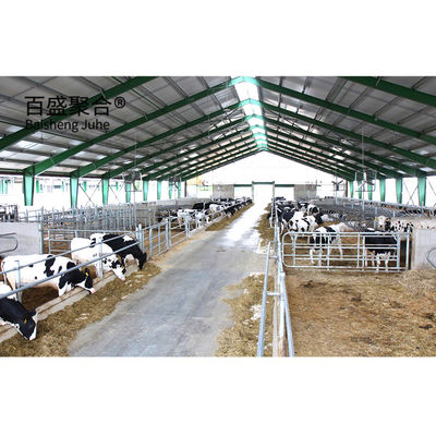 Modernes Design Stahlkonstruktion Kuh Rinder Milchbetriebe Milchbetriebe Schuppenbau mit Stahlbalken H Balken