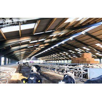 Schnittdienst Q235 Niedrigkohlenstoffstahl Mobilbau-Schuppen für Hühner Schwein Ziegen Kuh