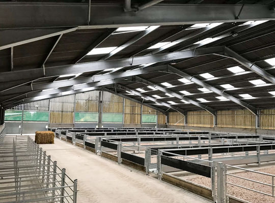 Geflügelhaus mit offener Seite Vorgefertigter Schuppen für Ziegen, Schweine, Pferde und Rinder